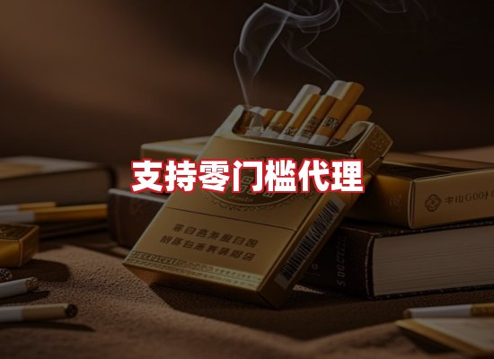 专业团队